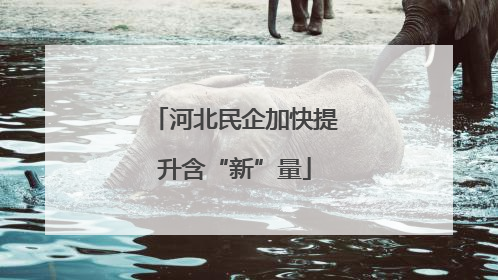 河北民企加快提升含“新”量
